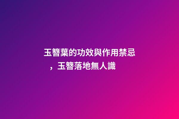 玉簪葉的功效與作用禁忌，玉簪落地無人識